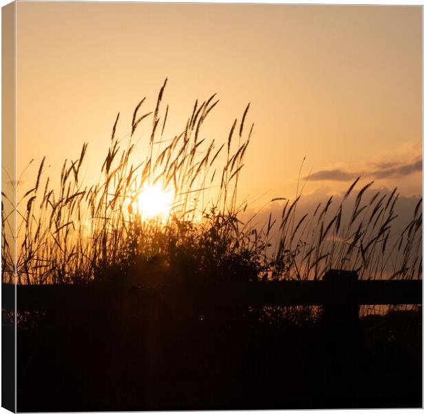 Hill Head Sunset Canvas Print by Peter Barber