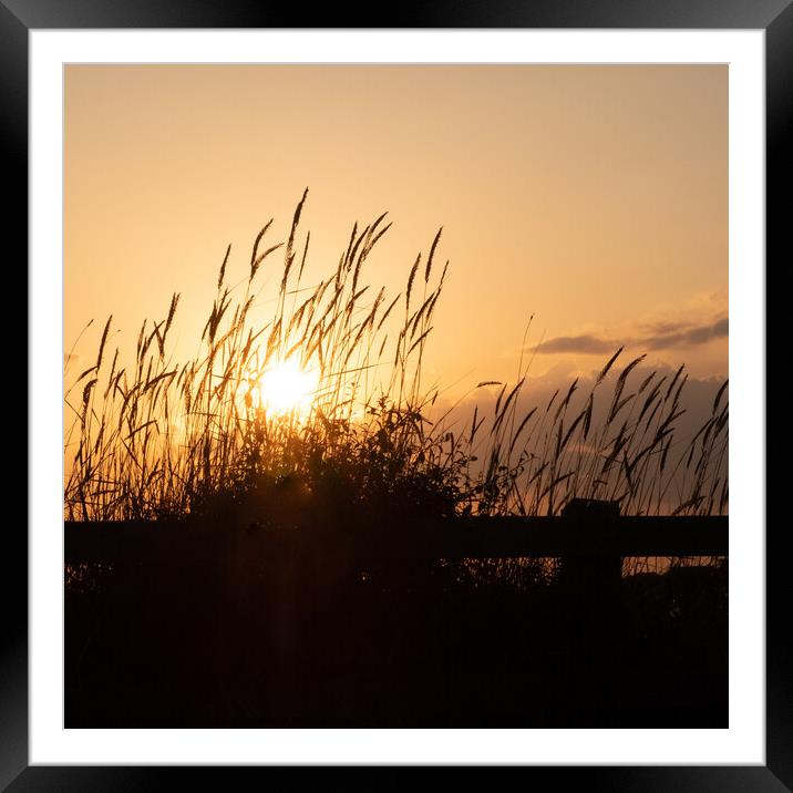 Hill Head Sunset Framed Mounted Print by Peter Barber