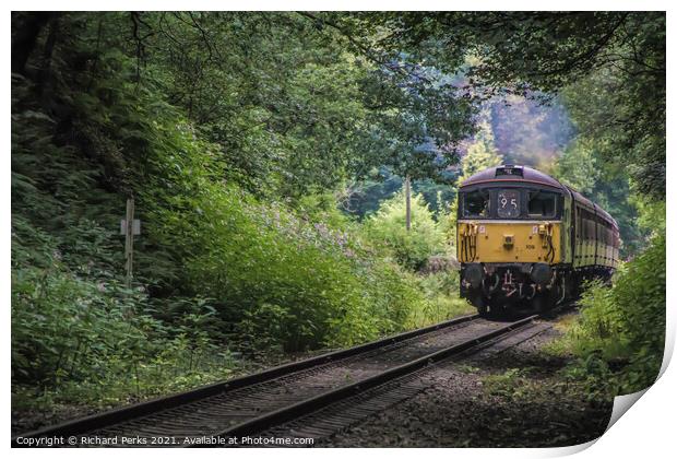 Heritage Diesel train framed by the trees Print by Richard Perks