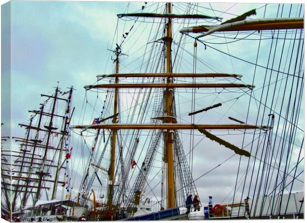 A forest of Masts and Rigging Canvas Print by Stephanie Moore