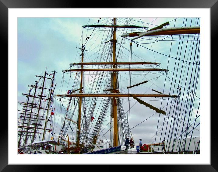 A forest of Masts and Rigging Framed Mounted Print by Stephanie Moore