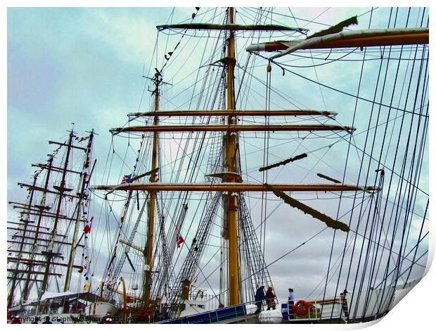 A forest of Masts and Rigging Print by Stephanie Moore