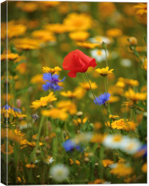 Meadow flowers and Poppy Canvas Print by Simon Johnson