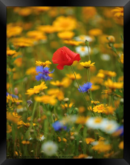 Meadow flowers and Poppy Framed Print by Simon Johnson