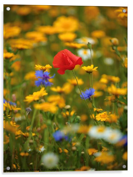Meadow flowers and Poppy Acrylic by Simon Johnson