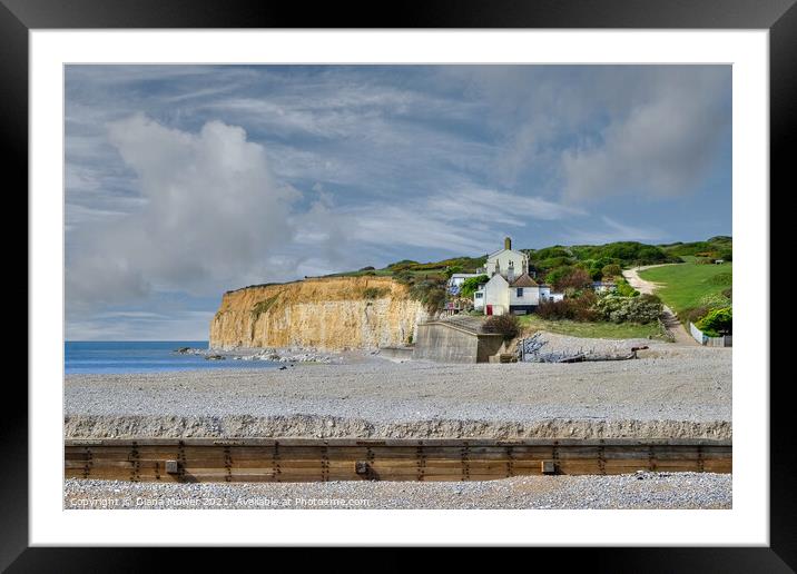  Cuckmere Haven beach Sussex Framed Mounted Print by Diana Mower