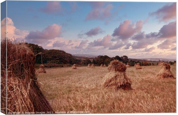 Mini Hay Stacks or Bales Isle of White 1954 Canvas Print by Bygone Images
