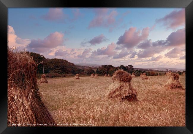Mini Hay Stacks or Bales Isle of White 1954 Framed Print by Bygone Images