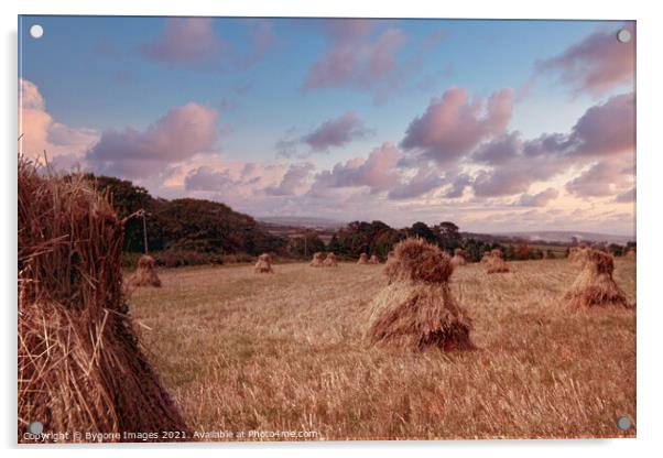 Mini Hay Stacks or Bales Isle of White 1954 Acrylic by Bygone Images