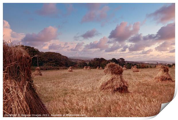 Mini Hay Stacks or Bales Isle of White 1954 Print by Bygone Images