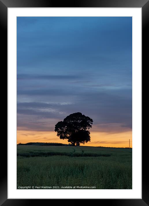 Lone tree at Crank Hill Framed Mounted Print by Paul Madden