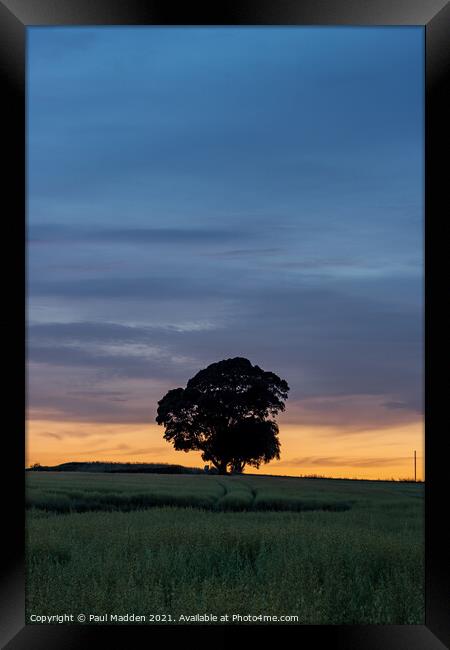 Lone tree at Crank Hill Framed Print by Paul Madden