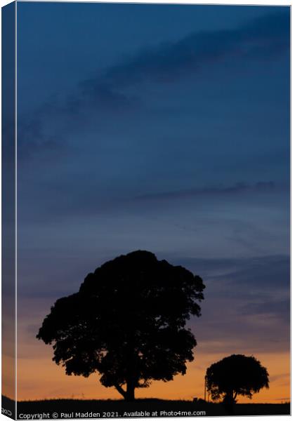 Silhouetted trees at Crank Hill Canvas Print by Paul Madden