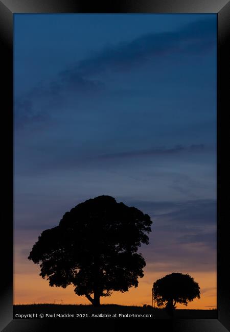 Silhouetted trees at Crank Hill Framed Print by Paul Madden