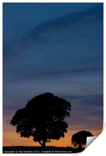 Silhouetted trees at Crank Hill Print by Paul Madden