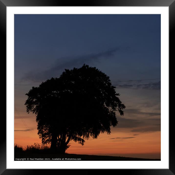 Tree at Crank Hill Framed Mounted Print by Paul Madden