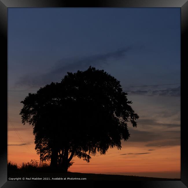 Tree at Crank Hill Framed Print by Paul Madden