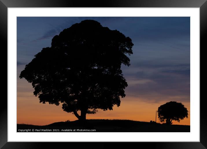 Trees at Crank Hill Framed Mounted Print by Paul Madden