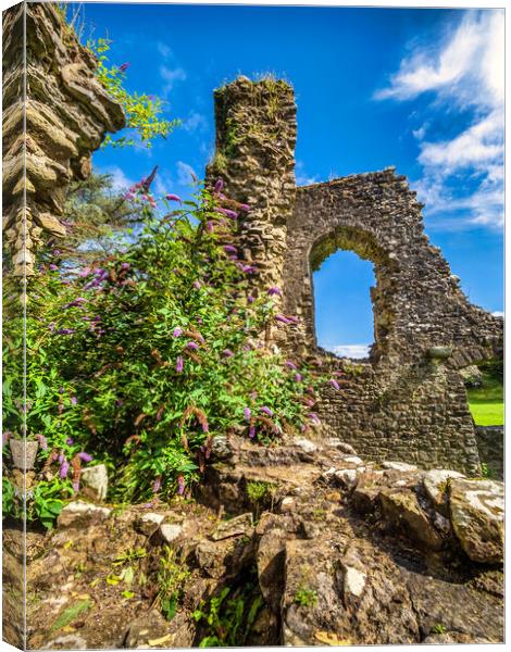 Narberth Castle, Pembrokeshire, Wales Canvas Print by Mark Llewellyn