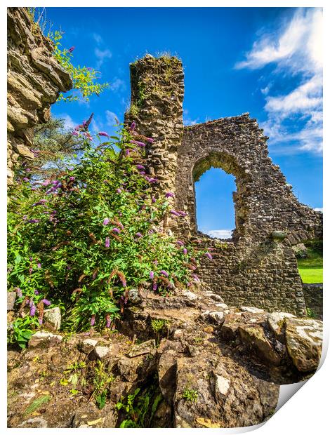Narberth Castle, Pembrokeshire, Wales Print by Mark Llewellyn