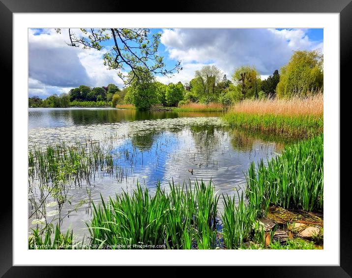 Tranquil Ellesmere Mere Reflections Framed Mounted Print by Graham Parry