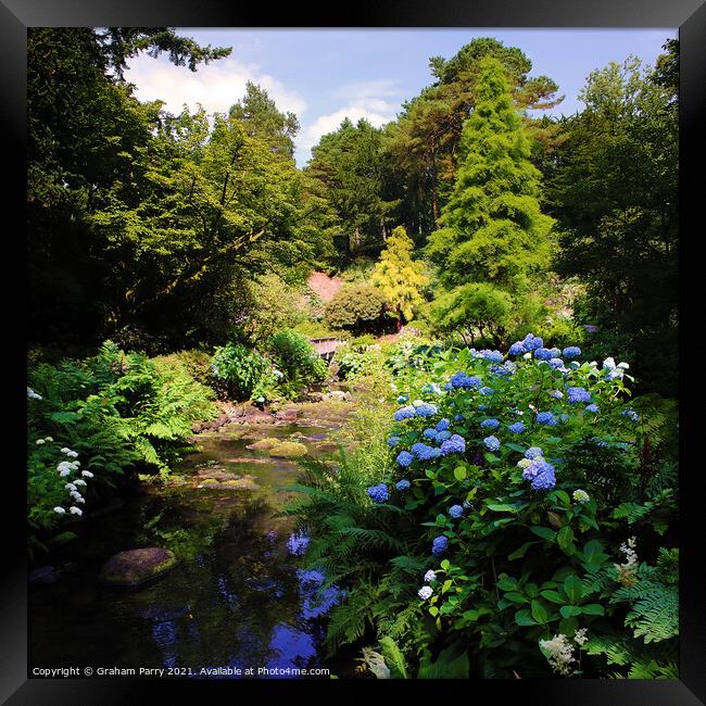 Summer's Splendour in Bodnant Garden Framed Print by Graham Parry