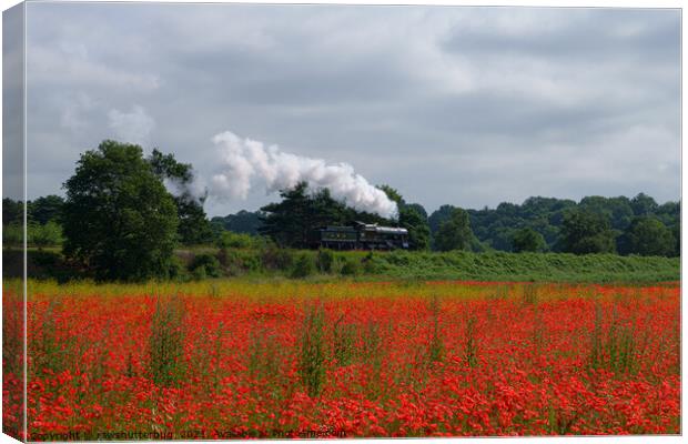 Locomotive Passing A Poppy Field Canvas Print by rawshutterbug 