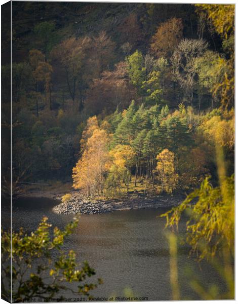 Autumn trees on the shores of Thirlmere Canvas Print by Peter Barber