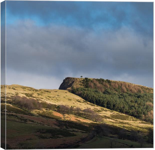 Back Tor Scots Pine picked out in the sunlight between the cloud Canvas Print by Peter Barber