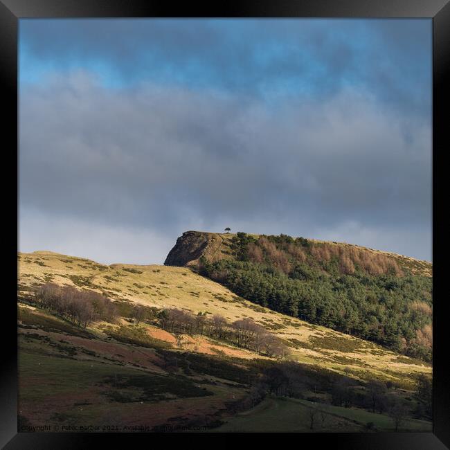 Back Tor Scots Pine picked out in the sunlight between the cloud Framed Print by Peter Barber