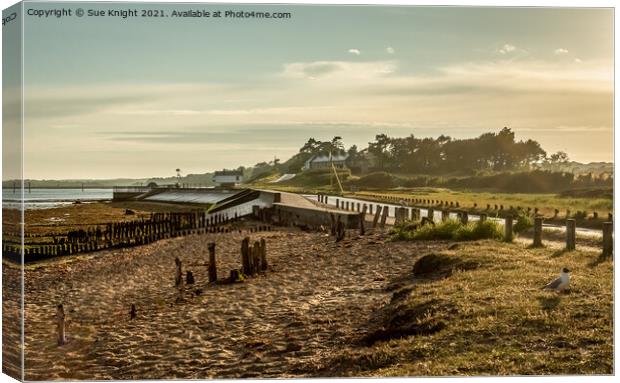 The Golden Hour at Lepe Canvas Print by Sue Knight