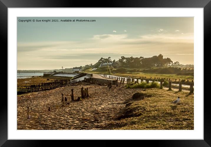 The Golden Hour at Lepe Framed Mounted Print by Sue Knight