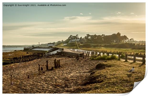 The Golden Hour at Lepe Print by Sue Knight
