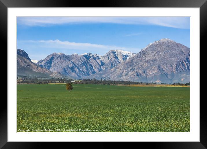 Snow capped mountain of Ceres Framed Mounted Print by Adrian Paulsen