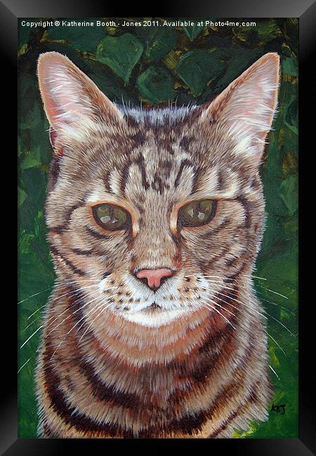 Tabby Cat Framed Print by Katherine Booth - Jones