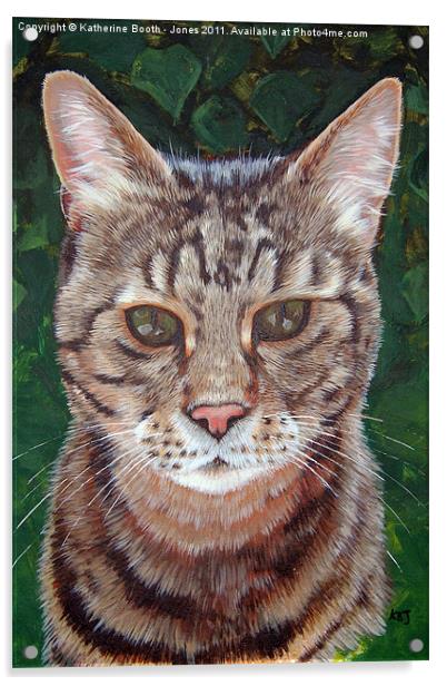 Tabby Cat Acrylic by Katherine Booth - Jones