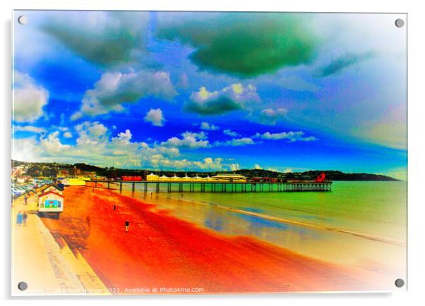 Picture Perfect Paignton Acrylic by Stephen Hamer