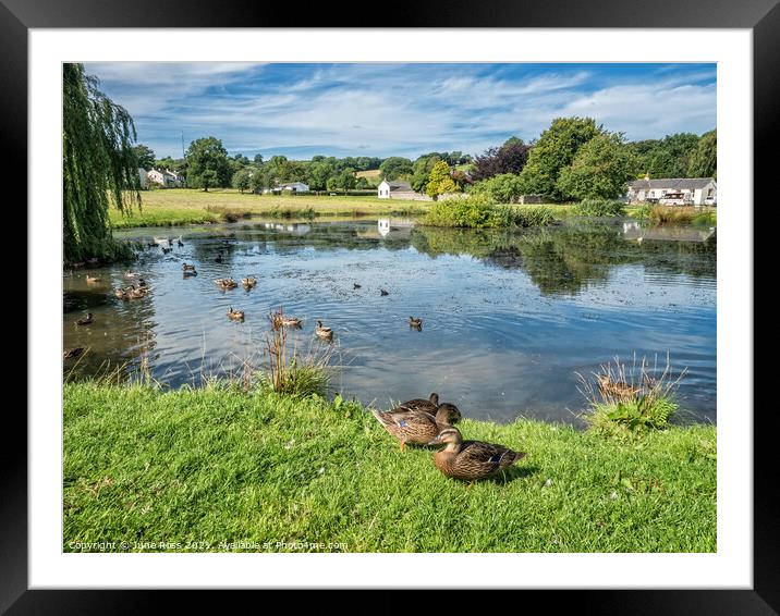 Caldbeck Village Duckpond, Cumbria Framed Mounted Print by June Ross