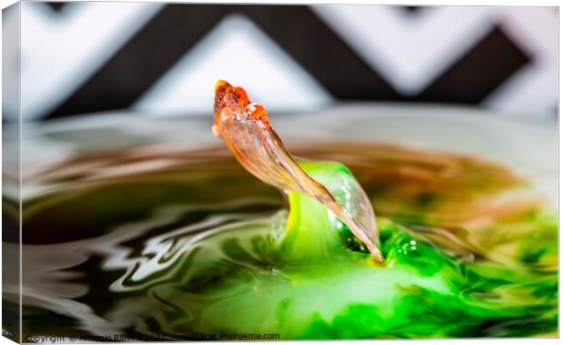 Water Droplet in a Pool of Water Canvas Print by Antonio Ribeiro