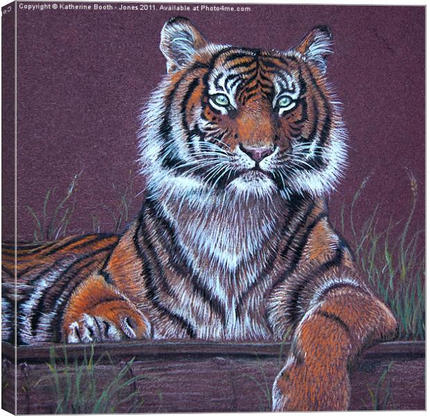 Tiger Canvas Print by Katherine Booth - Jones