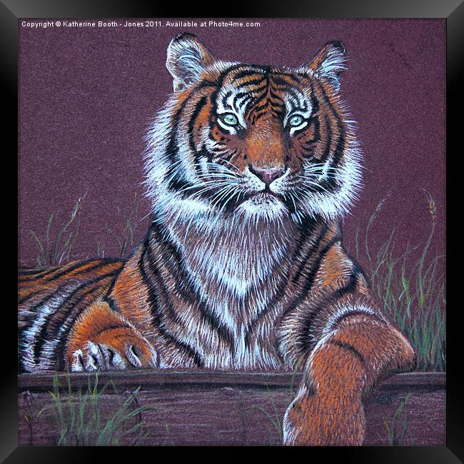 Tiger Framed Print by Katherine Booth - Jones