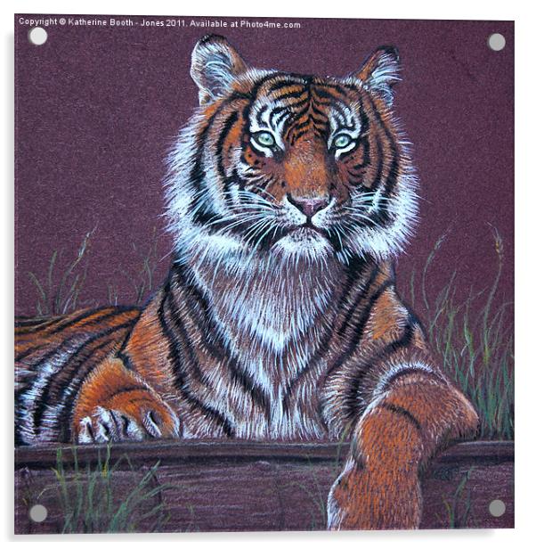 Tiger Acrylic by Katherine Booth - Jones