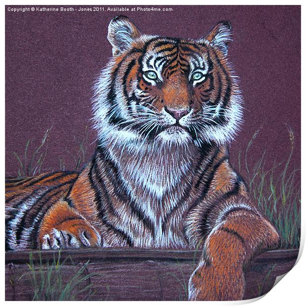 Tiger Print by Katherine Booth - Jones