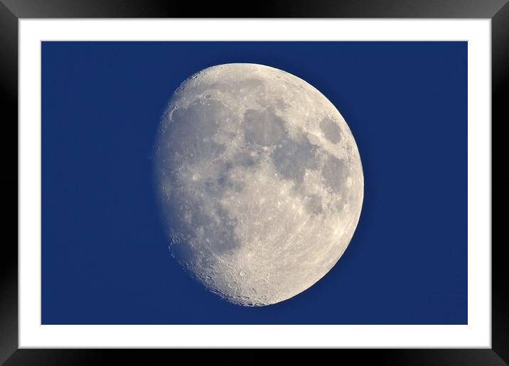 Evening Moon Framed Mounted Print by Susan Snow