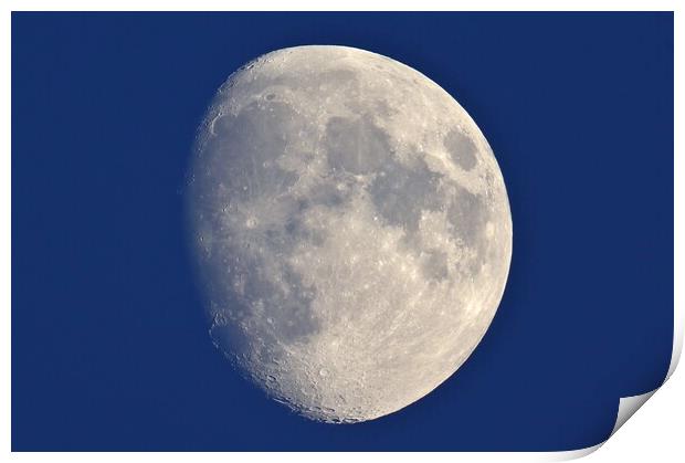 Evening Moon Print by Susan Snow