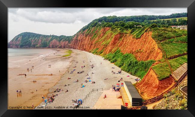 The Red Cliffs Of Sidmouth  Framed Print by Peter F Hunt
