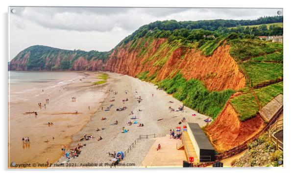 The Red Cliffs Of Sidmouth  Acrylic by Peter F Hunt