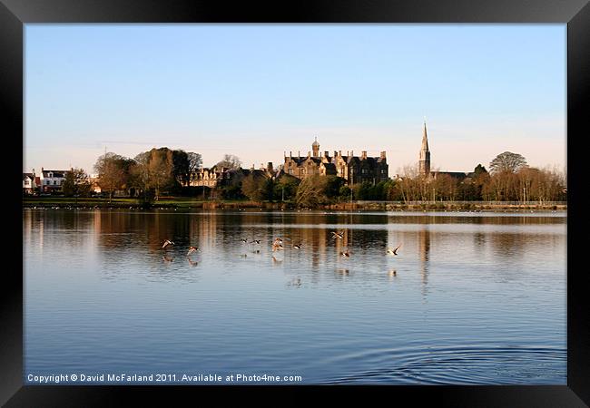 Lurgan Park lake Framed Print by David McFarland