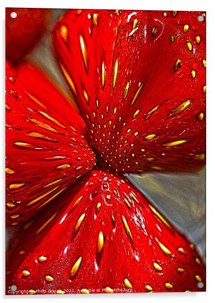 Plant flower Acrylic by Philip Gough