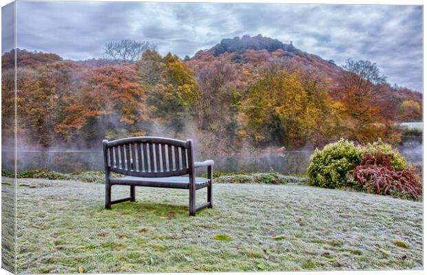 Seat with a View Canvas Print by Roger Green